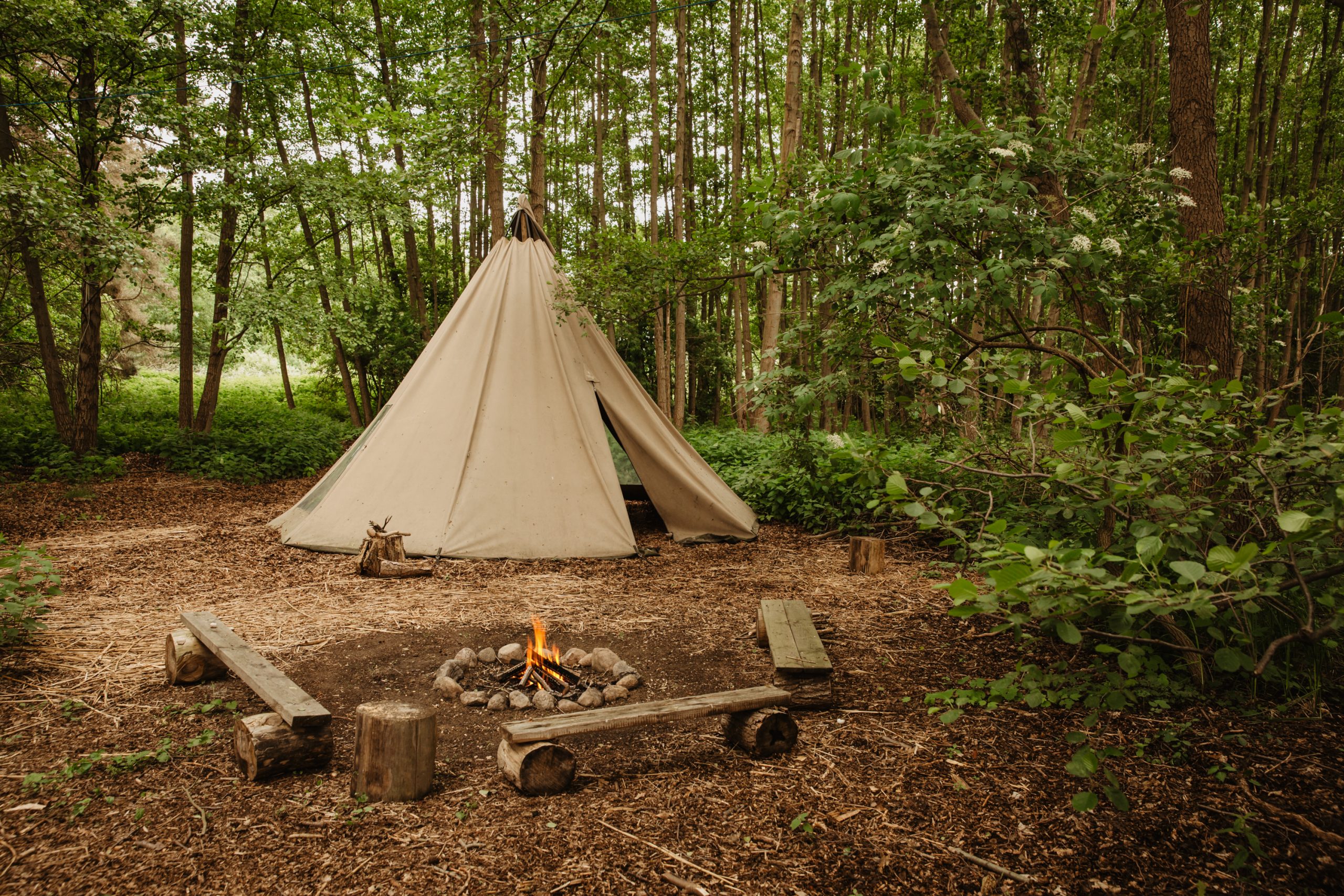 Tipi im grünen Wald Zelt mit Feuer im Wald
